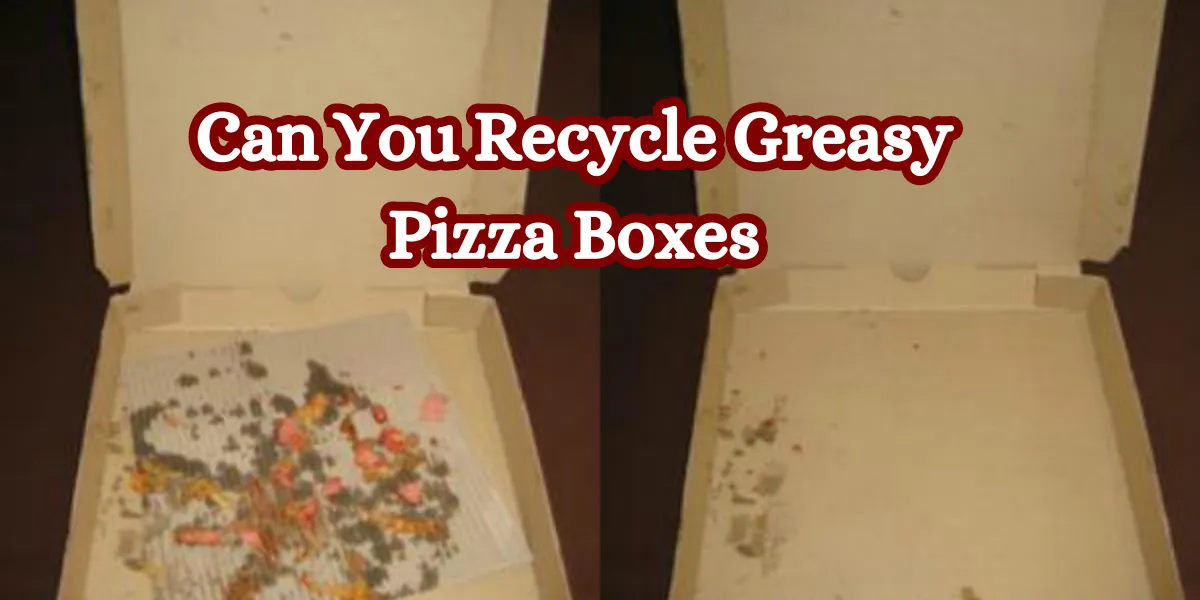 Recycling Greasy Pizza Boxes What You Need to Know
